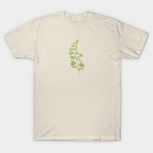 Ginko Biloba Plant Botanical T-Shirt